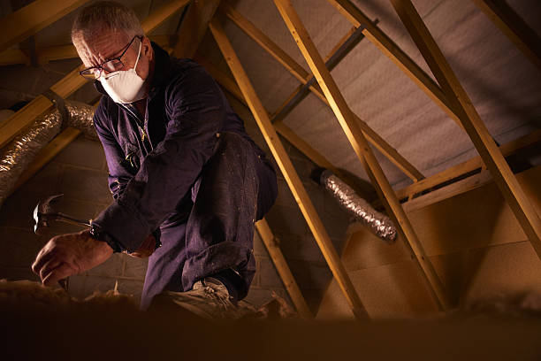 Best Residential Insulation in Cedar Falls, IA